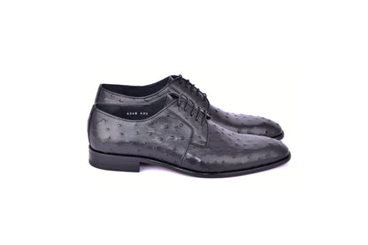 C01502-6348 Genuine Ostrich Black Lace up