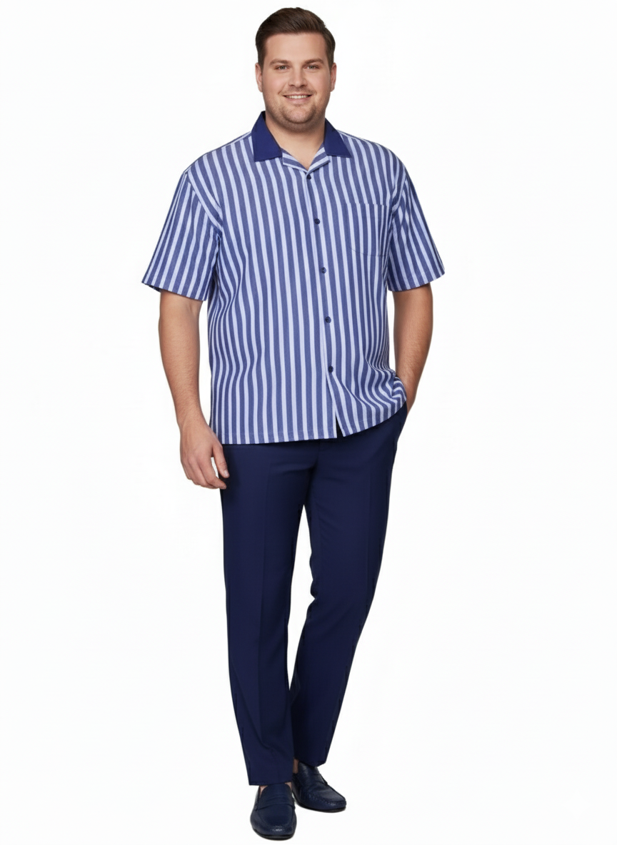 Mens Blue and White Vertical Stripe Short Sleeve Shirt Set  Casual Summer Two-Piece Outfit
