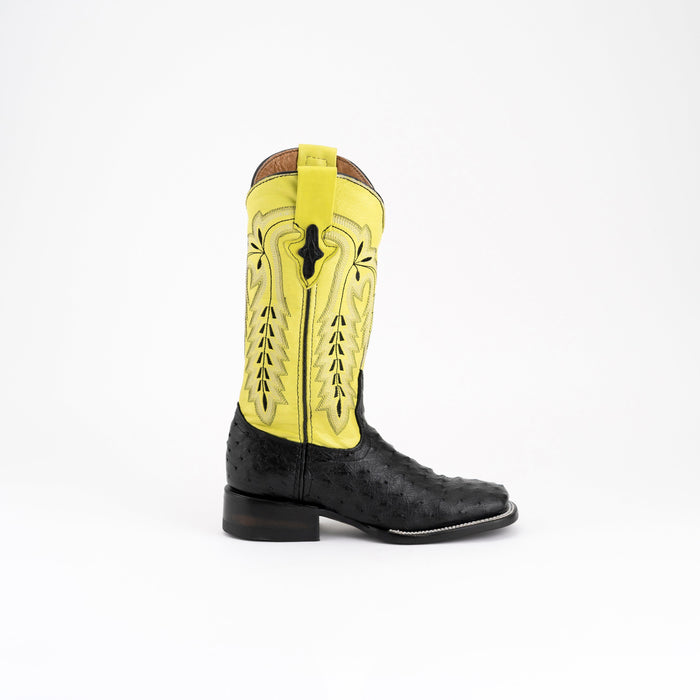 Ladies Colt - Full Quill Ostrich