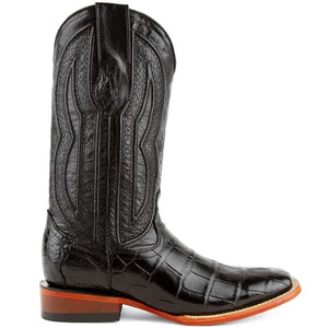 Ferrini Stallion - American Alligator