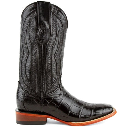 Ferrini Stallion - American Alligator