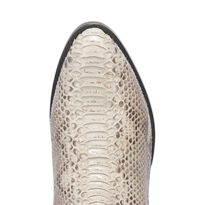 MANNING PYTHON BOOT
