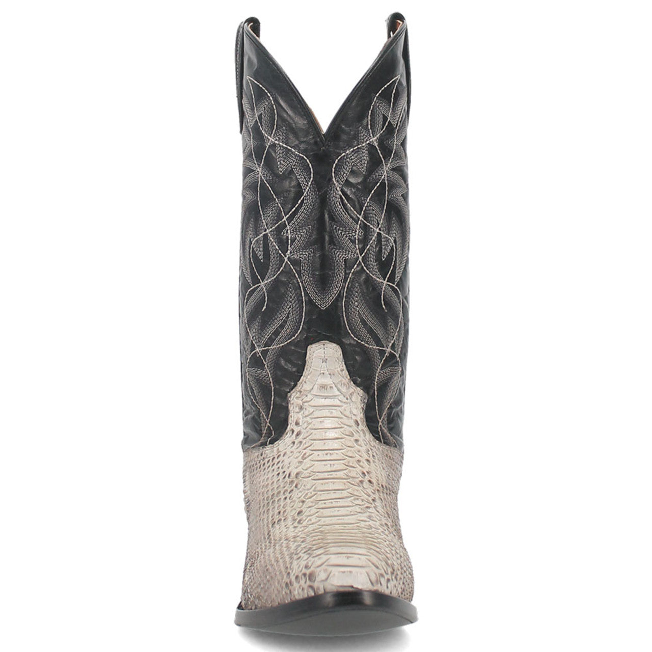 MANNING PYTHON BOOT