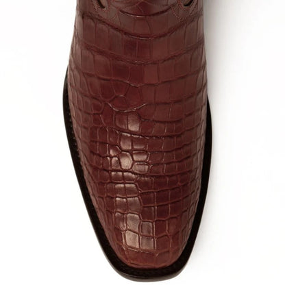 Ferrini Stallion - American Alligator