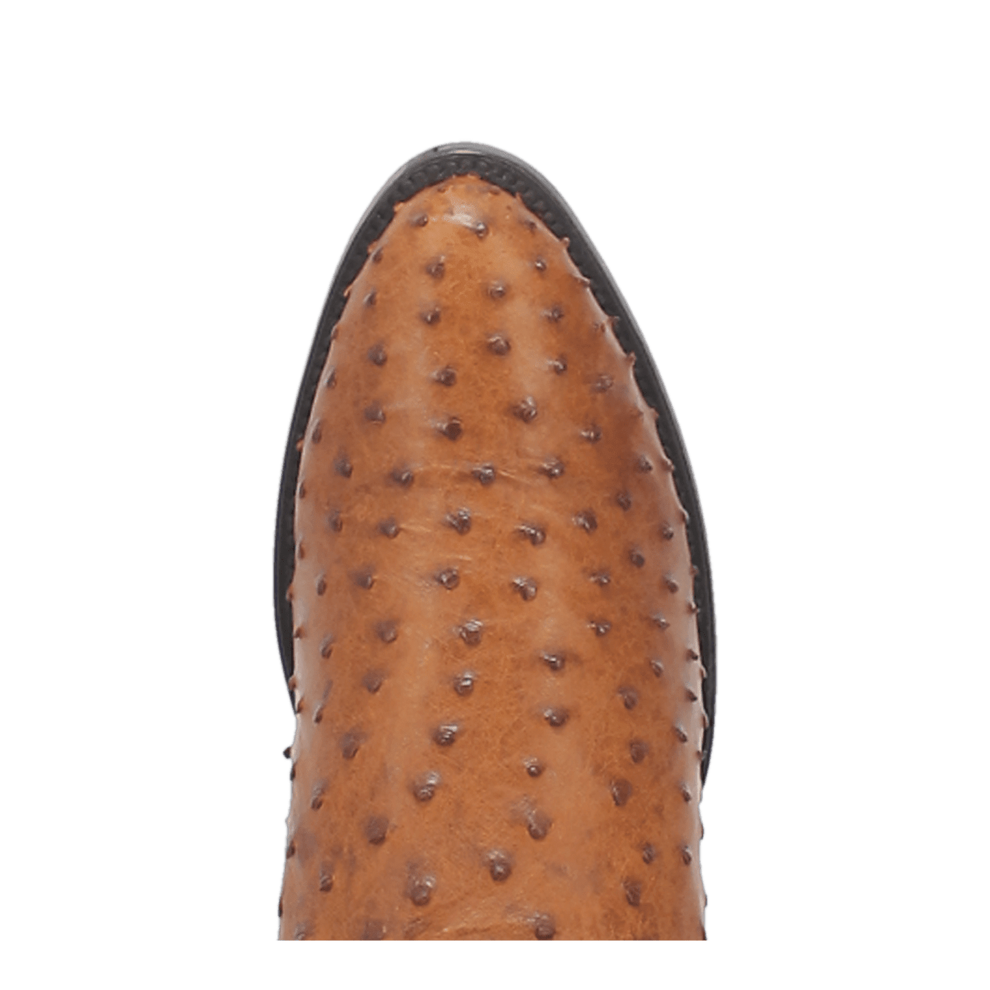 TEMPE FULL QUILL OSTRICH BOOT