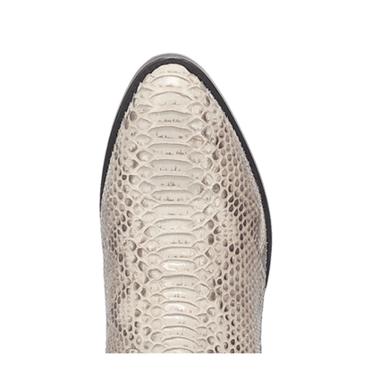 MANNING PYTHON BOOT