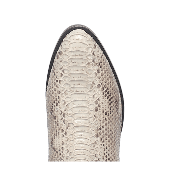 MANNING PYTHON BOOT