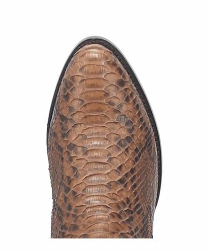 MANNING PYTHON BOOT