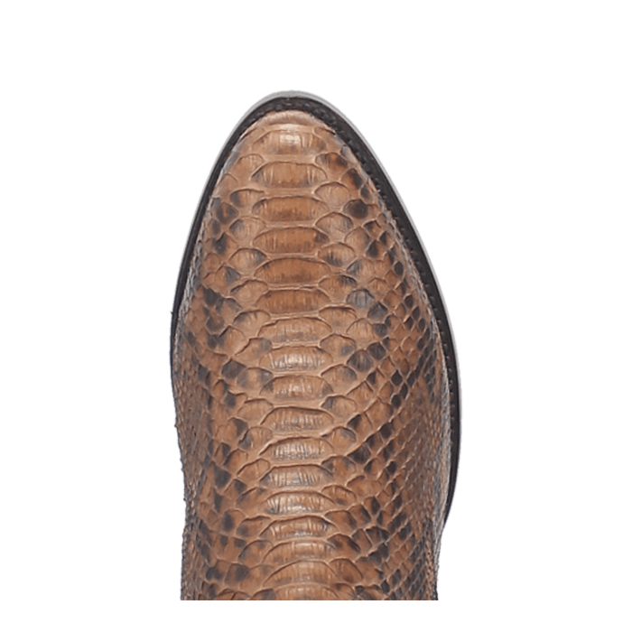 MANNING PYTHON BOOT