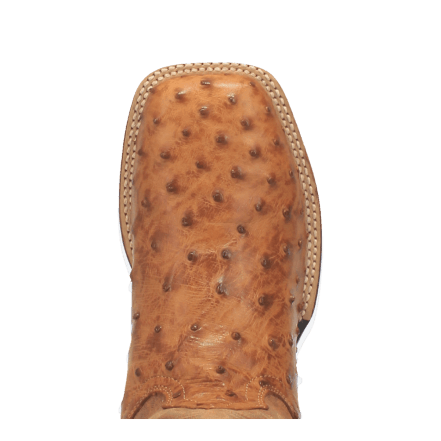 ALAMOSA FULL QUILL OSTRICH BOOT