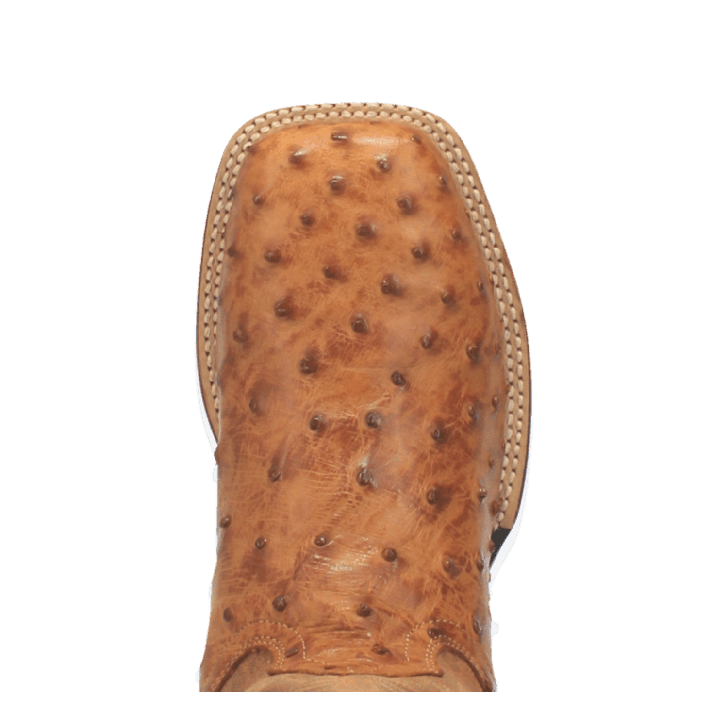 ALAMOSA FULL QUILL OSTRICH BOOT