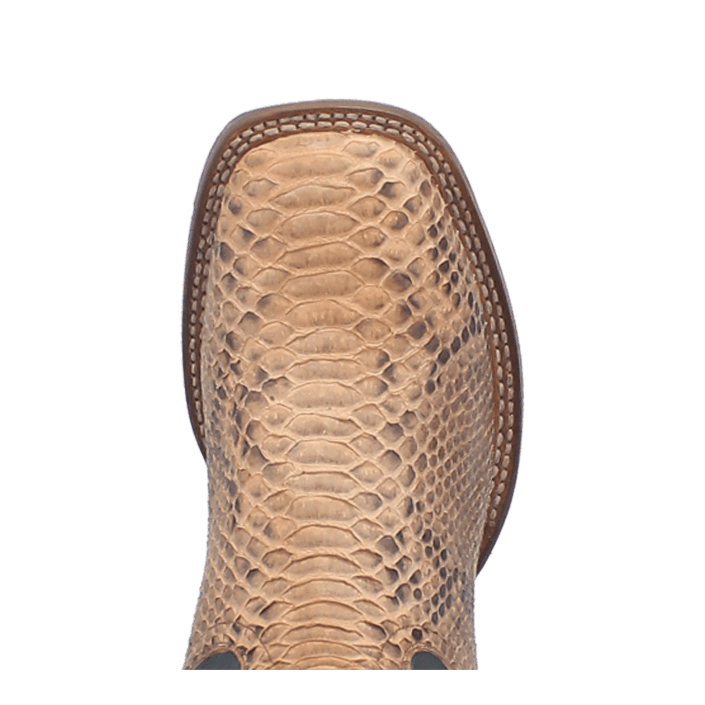TEMPLETON PYTHON BOOT
