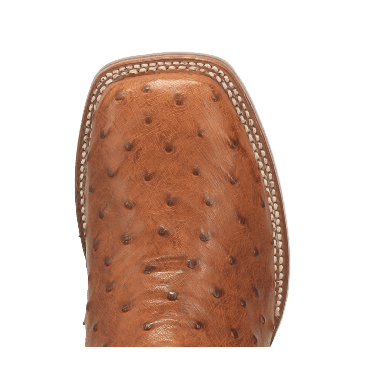 ALAMOSA FULL QUILL OSTRICH BOOT