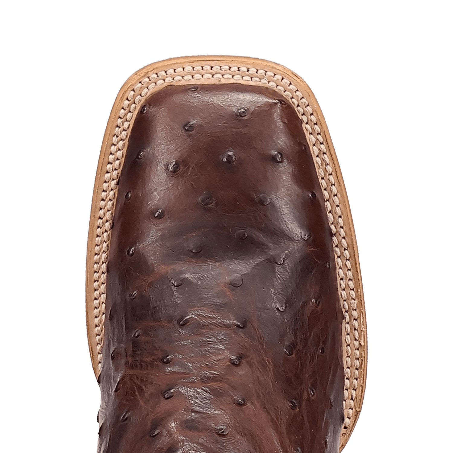 DRAYDEN FULL QUILL OSTRICH BOOT