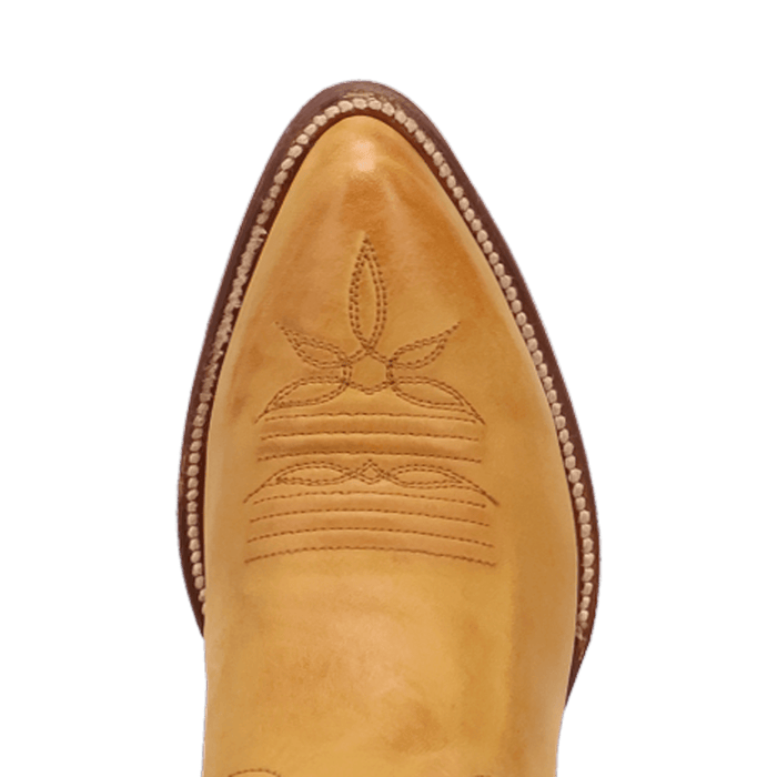 SUNRISE CANYON LEATHER BOOT