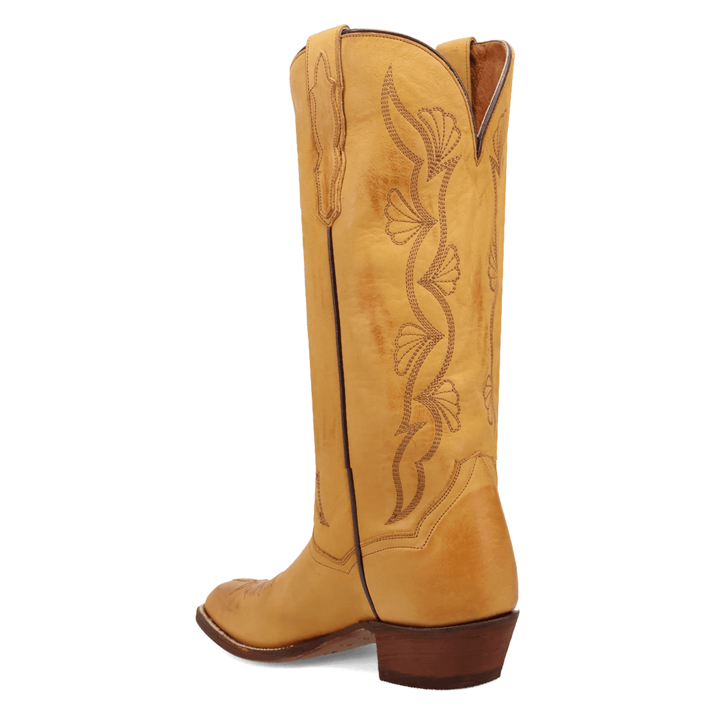 SUNRISE CANYON LEATHER BOOT