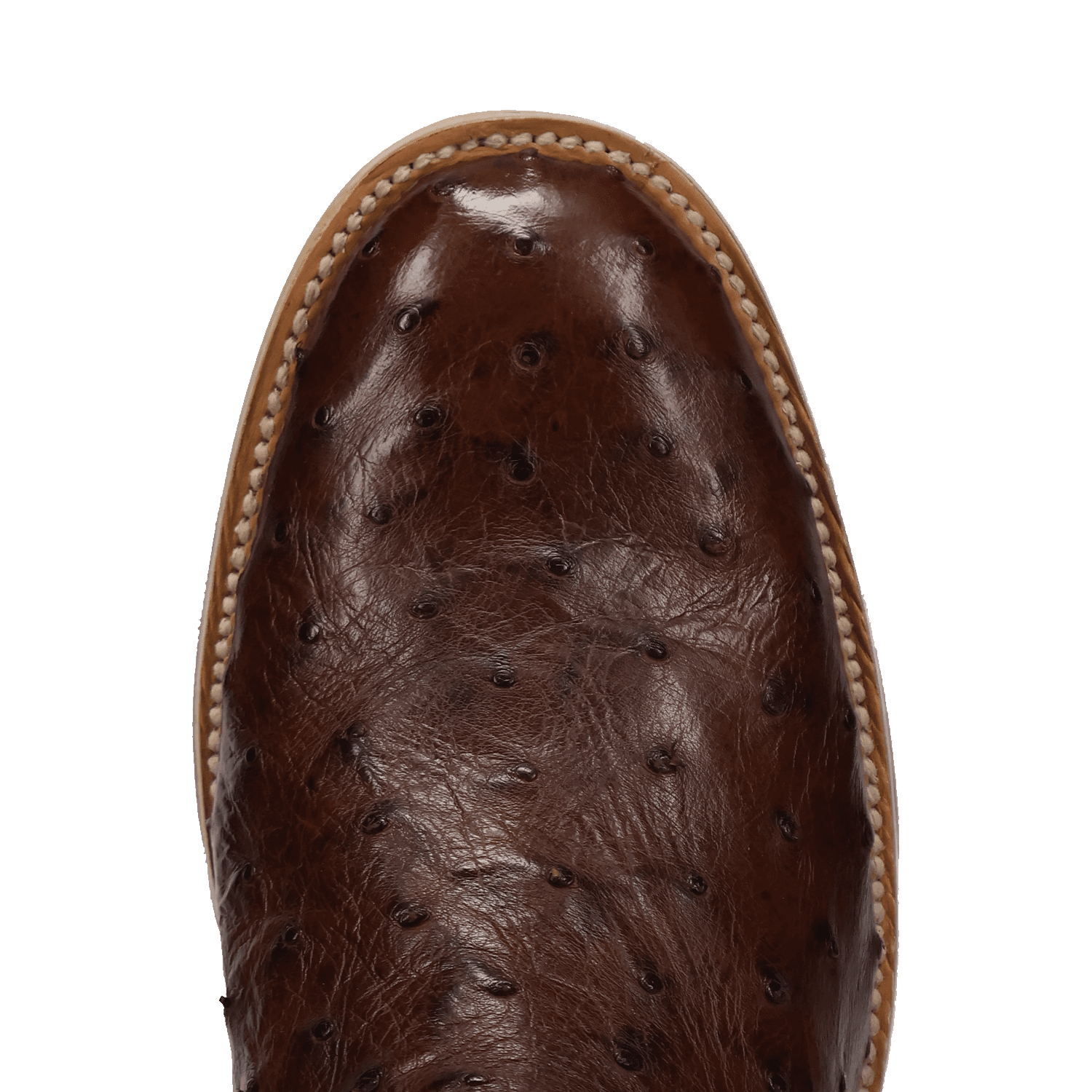 ARDOR FULL QUILL OSTRICH BOOT