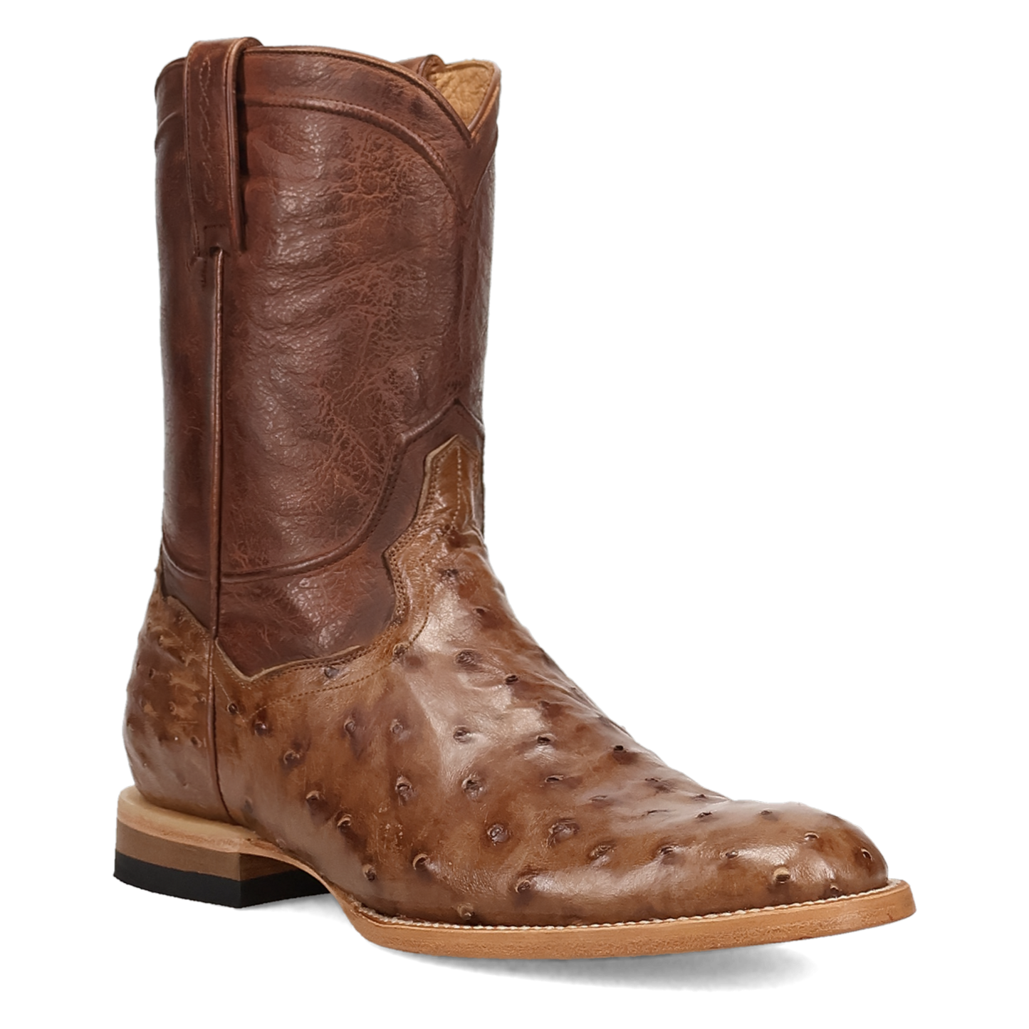 ARDOR FULL QUILL OSTRICH BOOT