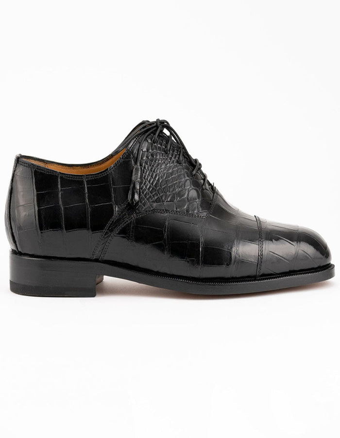 Ferrini Alligator 4234