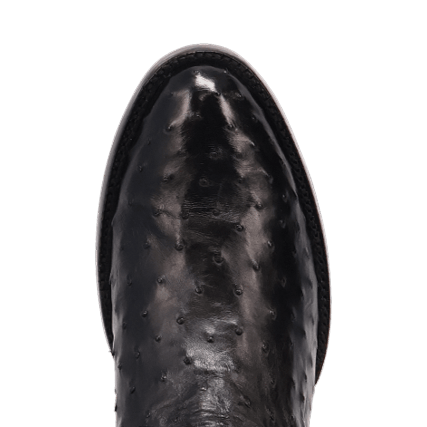 STANFORD FULL QUILL OSTRICH BOOT