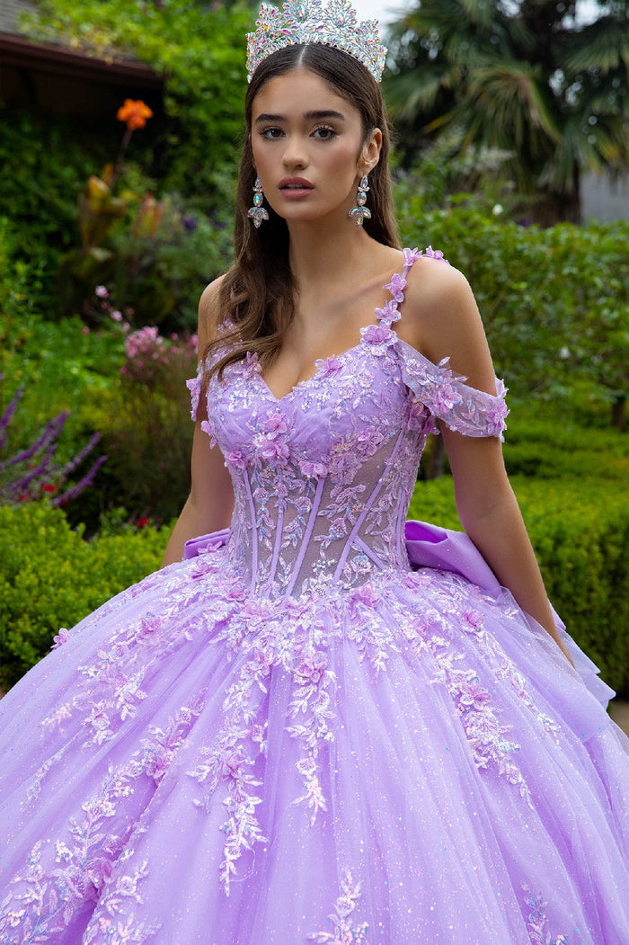 Cold Shoulders Floral Lace Quinceañera Ball Gown Glitter Tulle Princess Dress by Elizabeth K GL3520
