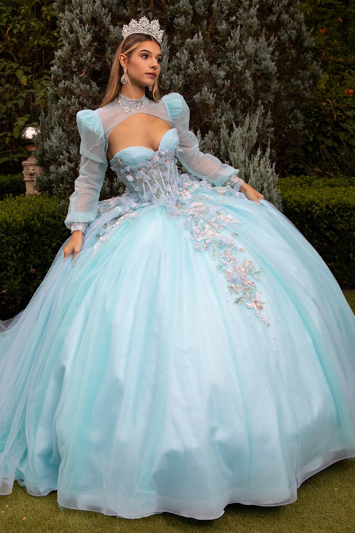 Floral Embroidered Quinceañera Ball Gown with Sheer Puff Sleeves by Elizabeth K GL3577
