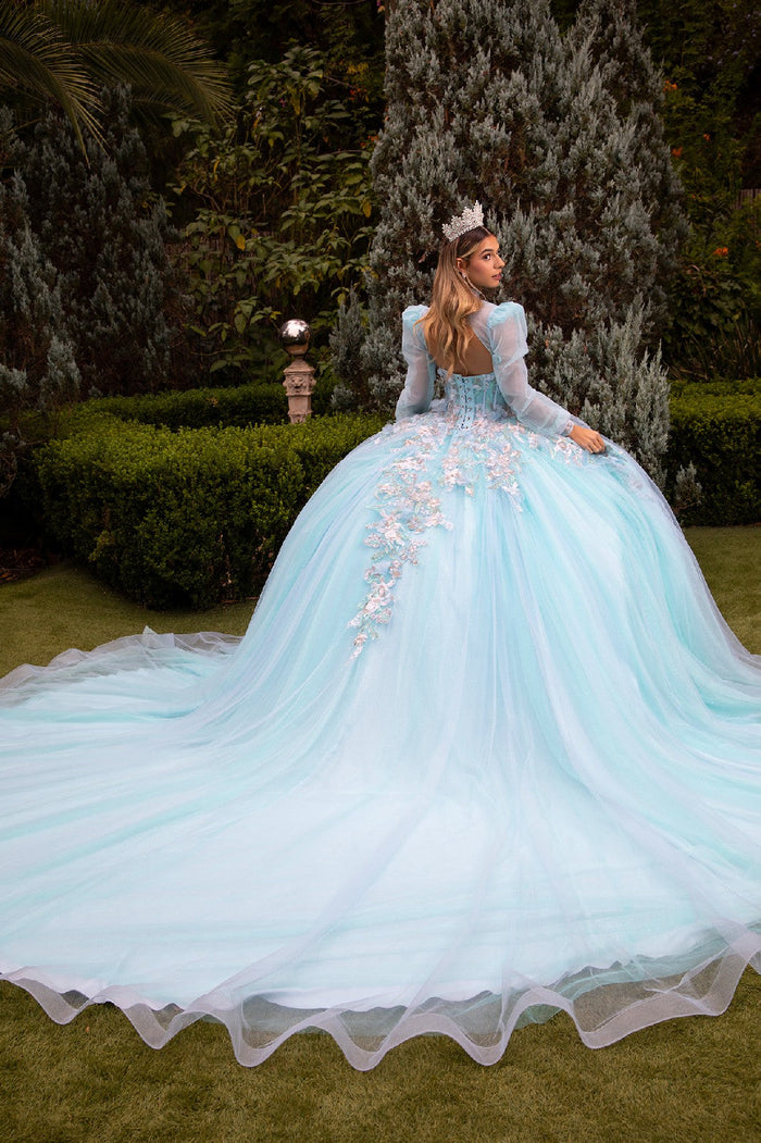 Floral Embroidered Quinceañera Ball Gown with Sheer Puff Sleeves by Elizabeth K GL3577