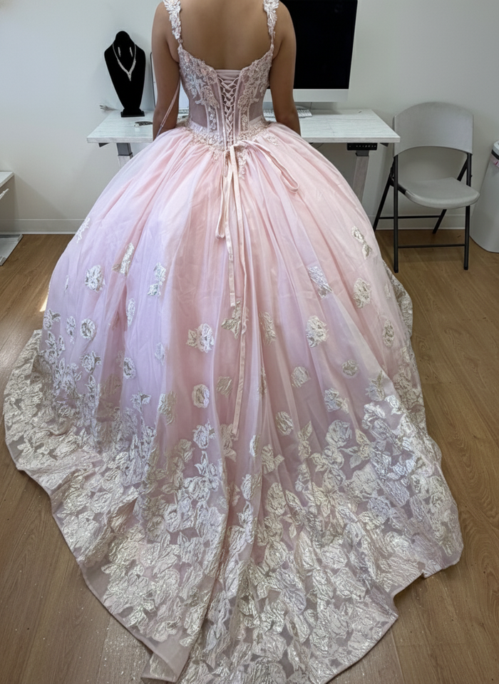 Layla K LK256 Sheer Bodice Floral Sleeveless Blush Quinceanera Gown