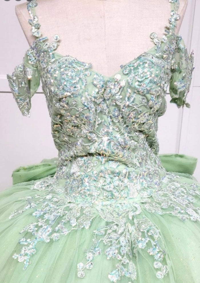 Chicas HF3089 Printed Glitter Royal BallDress Sweetheart Floral Tulle Dress