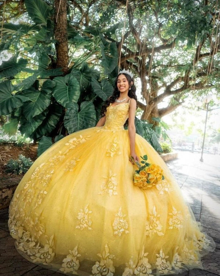Chicas HF3045 Romantic Printed Glitter Quinceañera BallDress V-Neck Tulle Dress