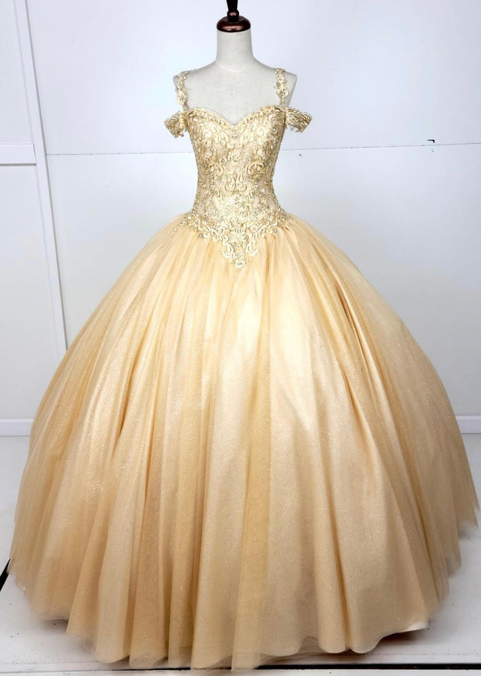 Chicas C1535 Quinceañera Royal BallDress Floor-Length Corset Embroidered Tulle Dress