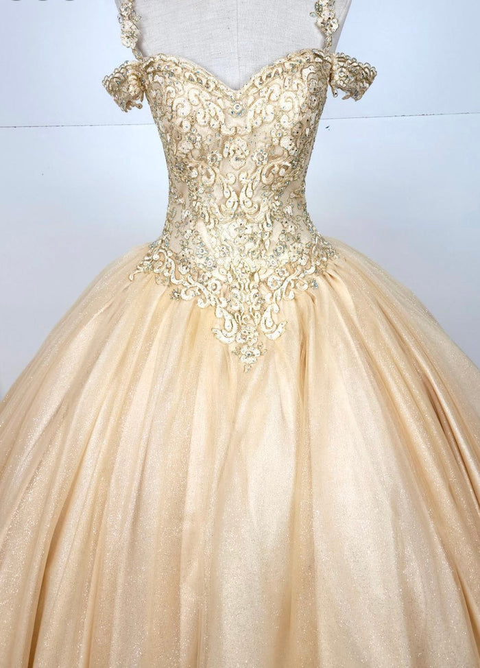 Chicas C1535 Quinceañera Royal BallDress Floor-Length Corset Embroidered Tulle Dress