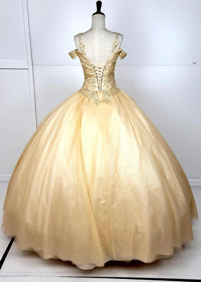 Chicas C1535 Quinceañera Royal BallDress Floor-Length Corset Embroidered Tulle Dress