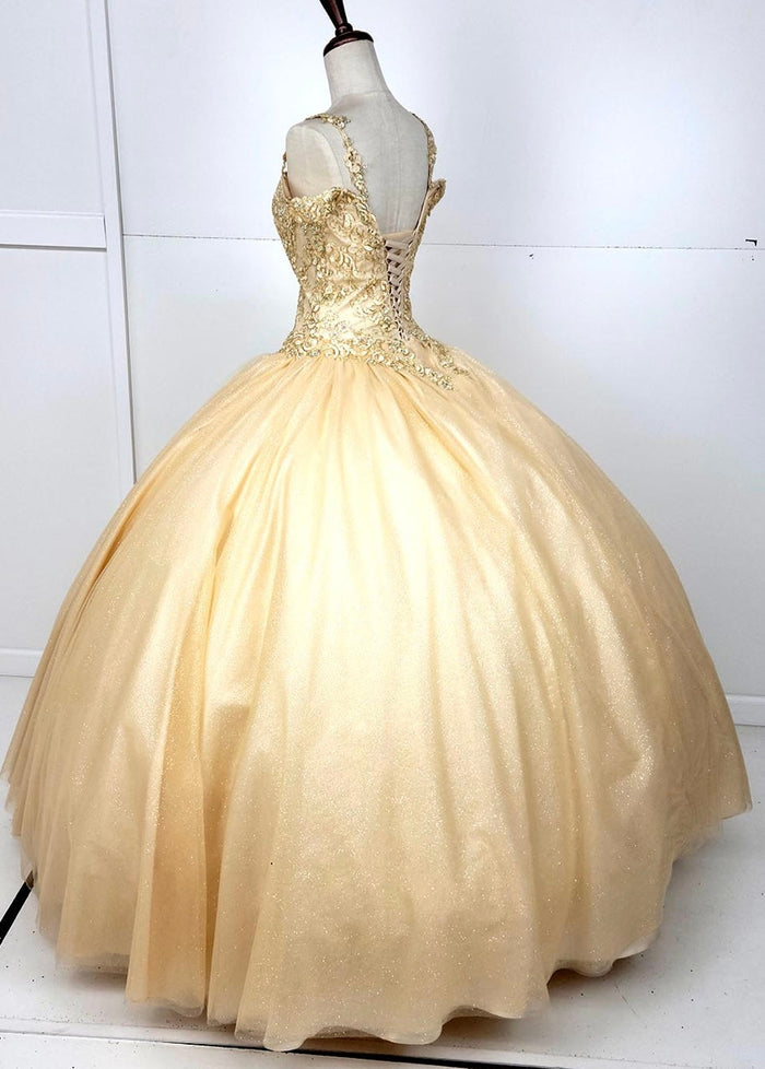 Chicas C1535 Quinceañera Royal BallDress Floor-Length Corset Embroidered Tulle Dress