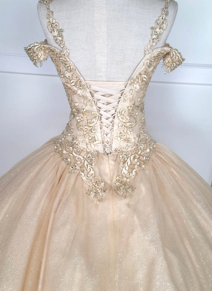 Chicas C1535 Quinceañera Royal BallDress Floor-Length Corset Embroidered Tulle Dress