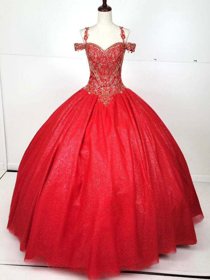 Chicas C1535 Quinceañera Royal BallDress Floor-Length Corset Embroidered Tulle Dress