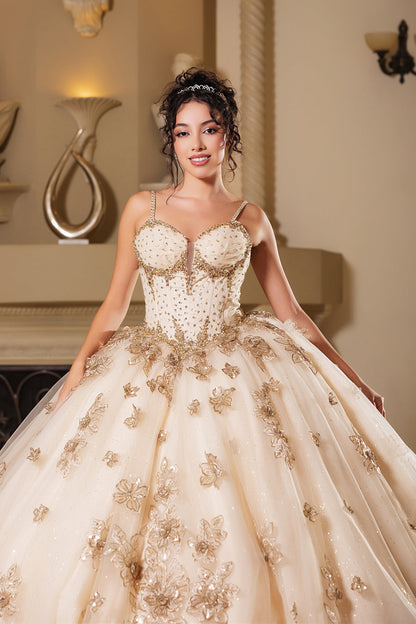 Layla K LK282 Floral Quinceañera Ball Gown with Beaded Corset Bodice