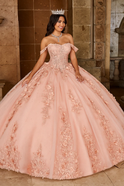 Rachel Allan RQ1132 Applique Sheer Corset Quinceanera Dress