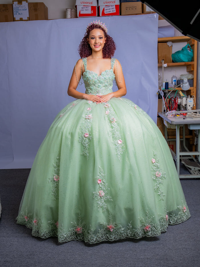 Floral Applique Quinceanera Dress Sleeveless Ball Gown by Calla SCL30011