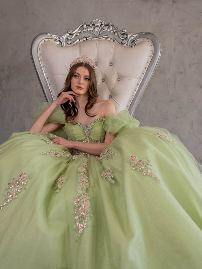 Off Shoulder Sweetheart Quinceanera Dress Corset Ball Gown by Calla SCL30012