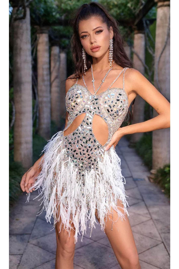 Great Gatsby Dress Womens Costume in Silver Style PS24898C