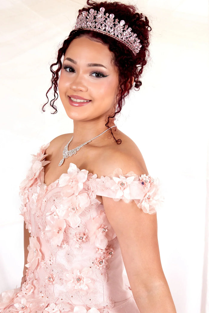 3D Floral Embroidered Quinceanera Dress Off Shoulder Ball Gown by Calla WB21551