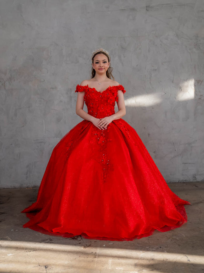 3D Floral Embroidered Quinceanera Dress Off Shoulder Ball Gown by Calla WB21551