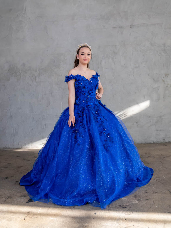 3D Floral Embroidered Quinceanera Dress Off Shoulder Ball Gown by Calla WB21551