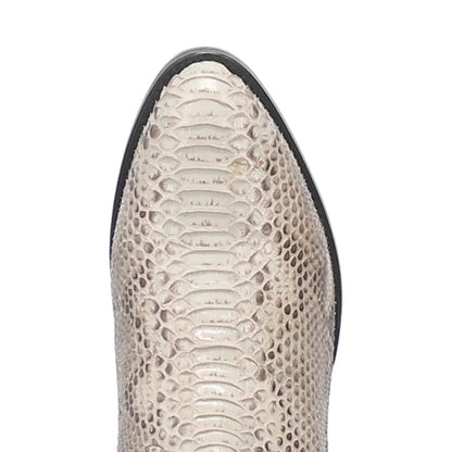 MANNING PYTHON BOOT