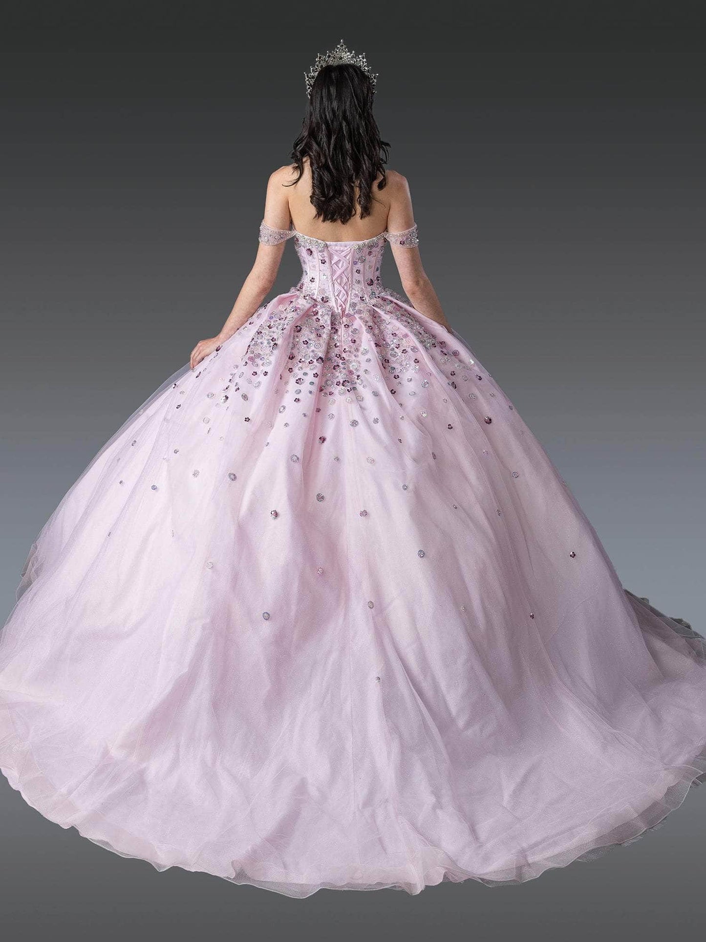 Dancing Queen 1959 - Floral Sequin Sweetheart Corset Ballgown Quinceanera Dresses XS / Blush