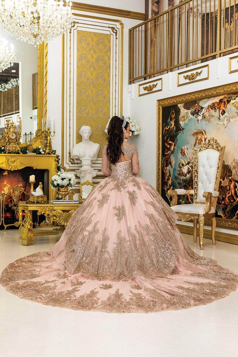 Dancing Queen 1968 - Embroidered Illusion Long Sleeve Ballgown Quinceanera Dresses XS / Rose Gold
