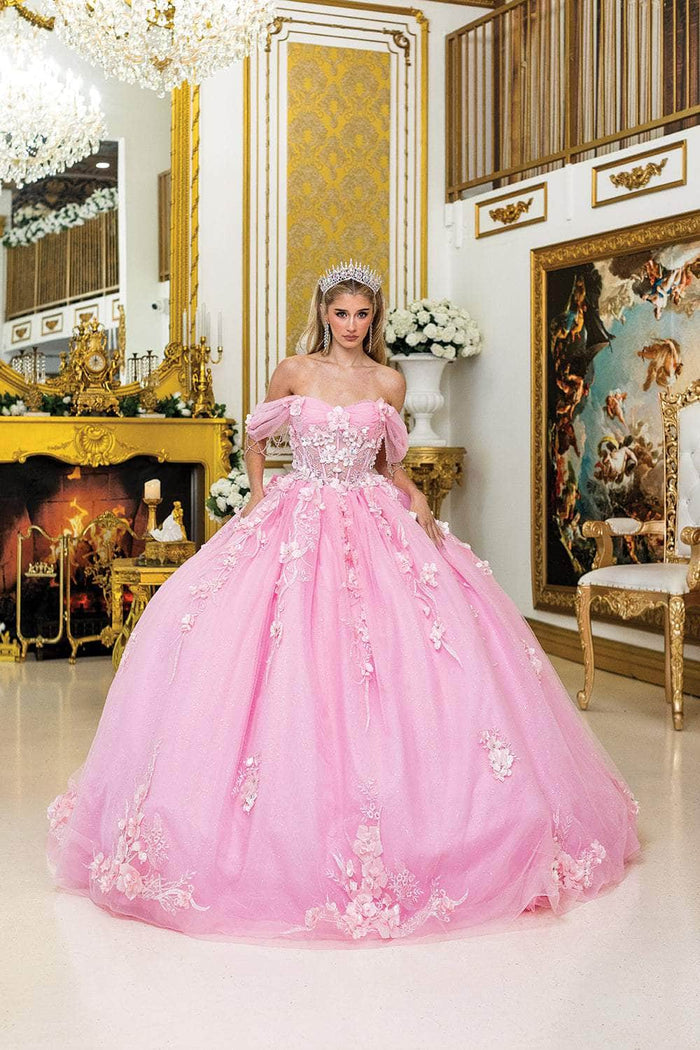Dancing Queen 1998 - Floral Applique Basque Ballgown Quinceanera Dresses XS / Pink