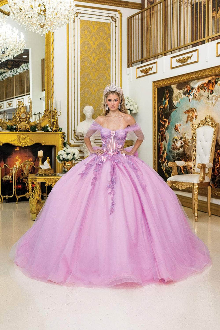 Dancing Queen 5007 - Sheer Sleeve Floral Appliqued Quince Dress Quinceanera Dresses XS / Lilac/Blush