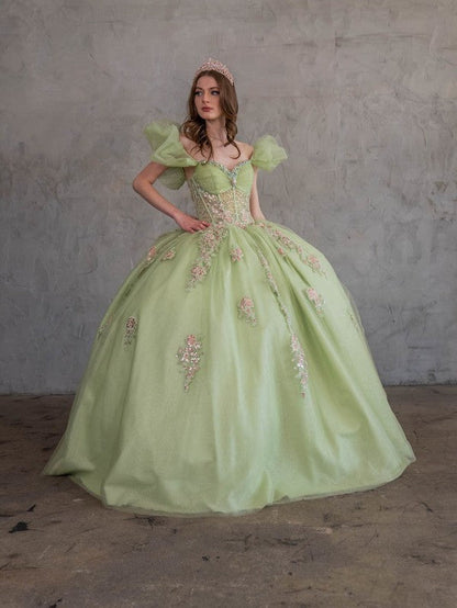 Off Shoulder Sweetheart Quinceanera Dress Corset Ball Gown by Calla SCL30012